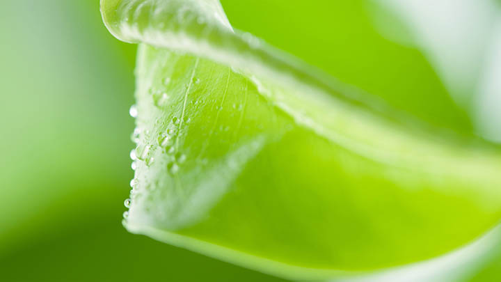 快连下载安装:官方直连,畅享极致安全网络 快连下载安装:官方直连,畅享极致安全网络 二