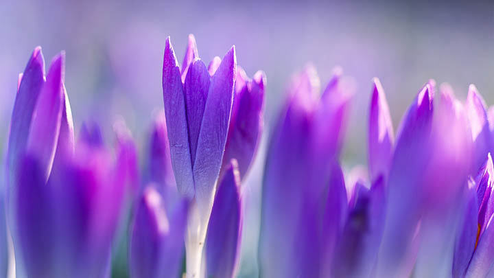 快连下载慢怎么办？教你几招快速解决！ 二