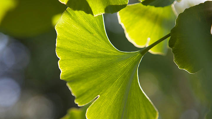 快连下载正规吗?权威解读3点辨别真伪 快连下载正规吗?权威解读3点辨别真伪 二