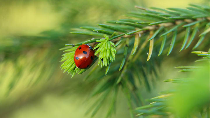 快连下载要钱吗?免费获取全平台安装教程解析 快连下载要钱吗?免费获取全平台安装教程解析 二