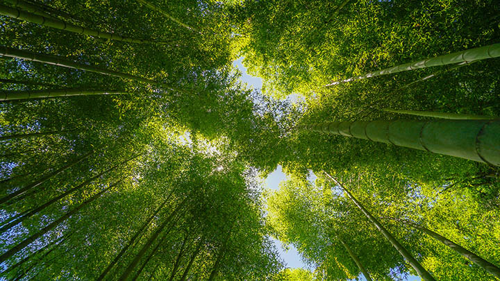 快连VPN下载后怎么用?连接网络畅享无限访问只需3步 快连VPN下载后怎么用?连接网络畅享无限访问只需3步 二