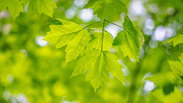 快连VPN下载支持Android吗？全面指南带你快速实现移动设备安全接入 二