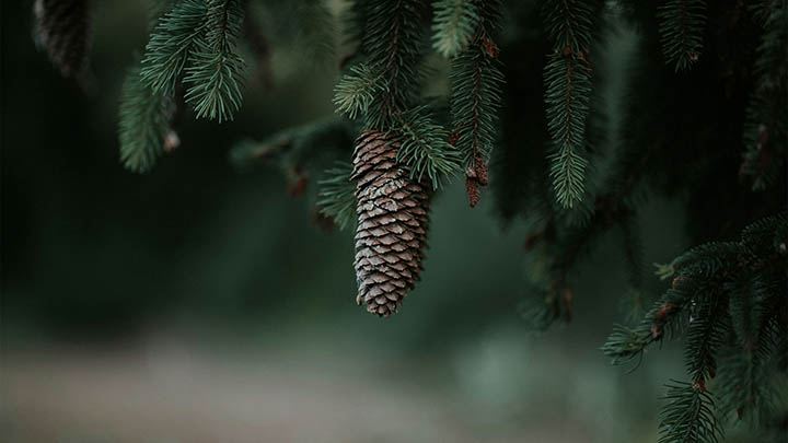 快连下载不同版本有何差异?官方解读3大特性一览 快连下载不同版本有何差异?官方解读3大特性一览 二