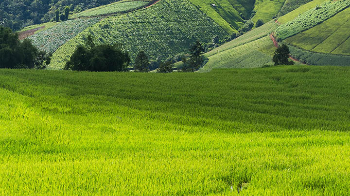 快连下载历史版本：官方渠道3步获取服务指南 二