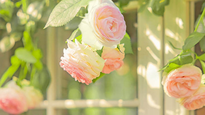 如何解决快连下载海外版不成功的问题？ 二