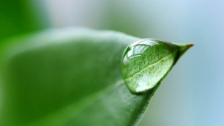 快连下载英文版如何操作？详细指南教你轻松获取全平台安装包！ 二