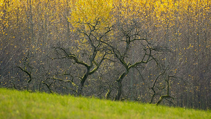 快连下载多语言版无法安装？快速解决方案 二
