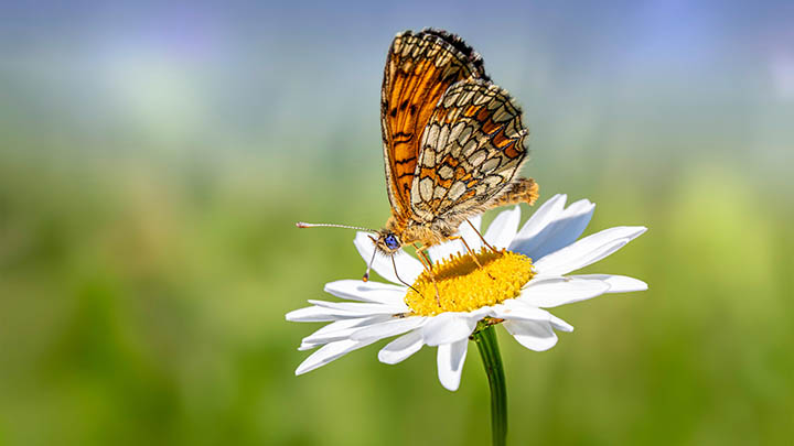 快连VPN下载疑问：是否必须更新以确保最佳使用体验？ 二