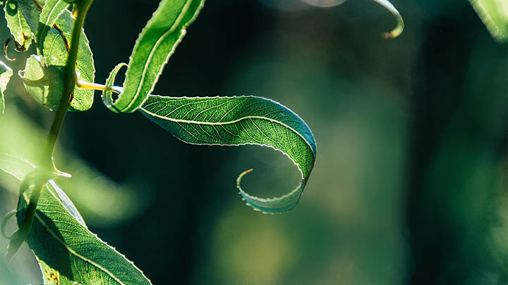 快连下载后卸载不干净？官方清理5步彻底解决法 二