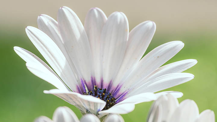 快连下载安装包难找？官方正版渠道与极速下载技巧解析 二