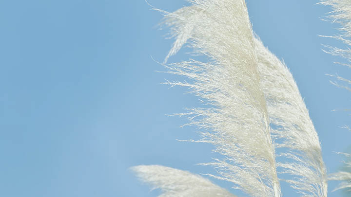 快连下载安装教程详细解读！多设备解决方案与备用下载链接 二