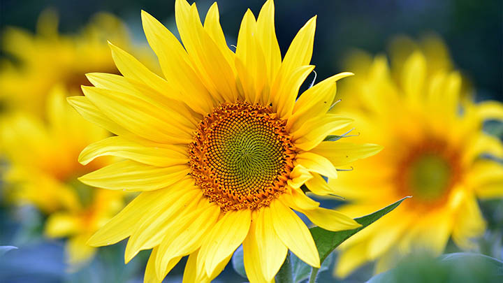 快连下载安装卡住怎么办?官方完整解决方案一步搞定 快连下载安装卡住怎么办?官方完整解决方案一步搞定 二