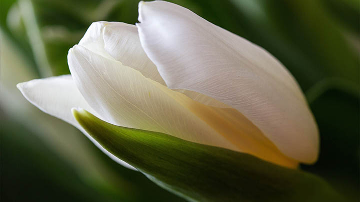 快连下载安装后闪退怎么办？官方修复指南及实用解决方案 二