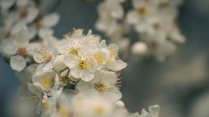 快连下载安装后无法连接怎么办？手把手教你快速恢复稳定网络 二