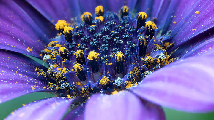 快连下载安装后死机？3个实用修复技巧 二