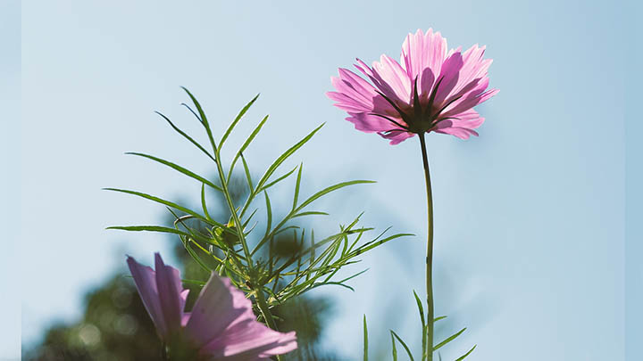 快连VPN安装后无法正常连接？详解3大高效解决技巧 二