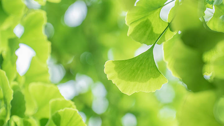 快连下载安装后连接错误怎么办？五大解决技巧快速恢复稳定网络 二