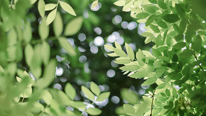 快连下载安装后无法保证隐私怎么办? 快连下载安装后无法保证隐私怎么办? 二